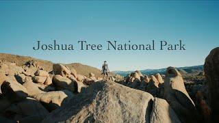 Joshua Tree National Park Landscape Photography | California Photography 4K