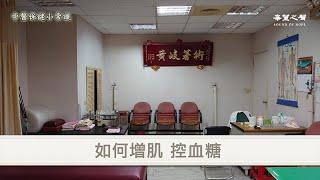 【中醫保健小常識】如何增肌 控血糖 第113集