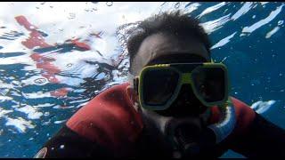 Cairns + Great Barrier Reef Vlog 2023 | Go Pro