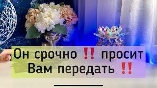 Он срочно просит Вам передать ‼️