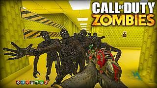 Can I Escape The BACKROOMS CoD Zombies Map? (Black Ops 3)