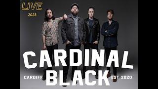 Cardinal Black Live 2023 #Blues#soul#funk️️