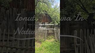 Ionut Aventura în Natura - Ținutul Buzăului un tărâm de basm