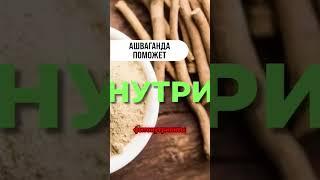 Как принимать ашваганду? Для чего нужна ашваганда? #vitalers #ашваганда #тестостерон #кортизол