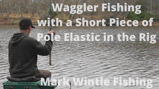 Waggler Fishing with a Short Piece of Elastic in the Rig