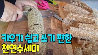 4 ways to cut natural loofah, how to grow loofah