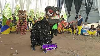 ATRAKSI BARONGSAI - Jembet - Seni Burok PUTRA LESTARI Live Desa Taraju