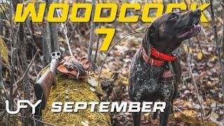 Northwoods Woodcock Hunting 7 - September #woodcockhunting