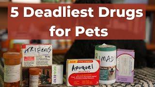 5 of the DEADLIEST Veterinary Medications for Pets
