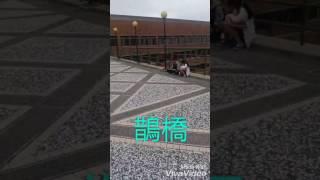 靜宜大學 鵲橋任垣宜園希嘉