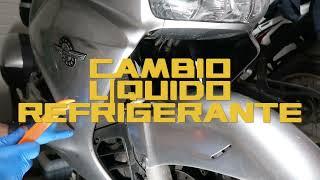 CAMBIO LIQUIDO REFRIGERANTE PAN EUROPEAN 1300 STX
