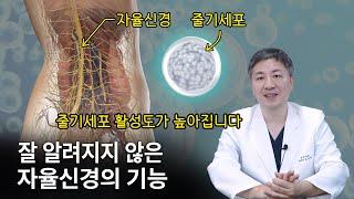 잘 알려지지 않았던 자율신경의 또다른 기능: 줄기세포 활성도에 관여