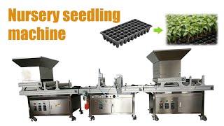 Hot sell automatic nursery seeding machine! Vegetable nursery sowing machine for sale