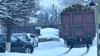  Tren cu Lemne CFR MARFĂ Wood Train in Zăpadă/Heavy Snow in Vatra Dornei - 28 December 2021