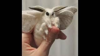 All the moths are cute