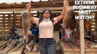SHOCKING: Extreme bushmeat at the Nigerian wild animal market Ft African tigress x Virtue Grace