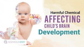 Harmful Chemicals Affecting Brain Development | Ingenious Baby