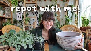 REPOT WITH ME!  repotting new plants, & working with propagations