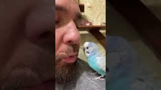 Видели такое чудо?