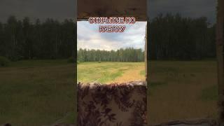 Охота на кабана летом с вышки | Охота на копытных #hunting #nighthunter #тепловизор #охотник