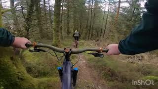 Dyfi Forest off piste -Ants Track