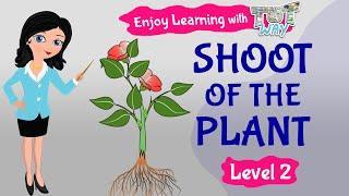 Shoot of the plant | Elementary Science | TutWay |