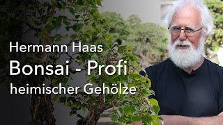 Nicht nur schwarz und weiß! Der Birken-Profi Hermann Haas - Bonsai aus heimischen Gehölzen!