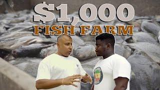 How To Start A Backyard Tilapia Farm With a $1000