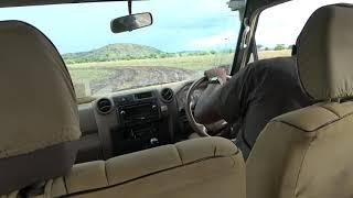 4WD Action on Safari