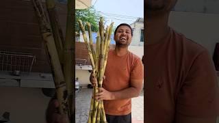 A Day in my village life #minivlog #dailyminivlog #adayinmylife #villagelife #villagevlog #dailyvlog