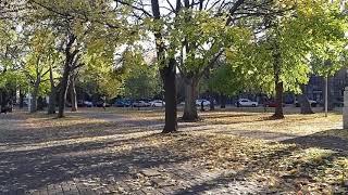 Lafontaine Park Octobre 2020 -Montréal