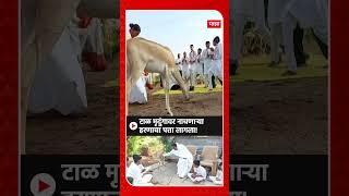 Deer Dancing Viral Video : टाळ मृदुंगावर नाचणाऱ्या हरणाचा पत्ता लागला!