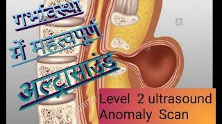 Level 2 Ultrasound / Anomaly scan / Important Ultrasound in Pregnancy / Doctor Home / Hindi