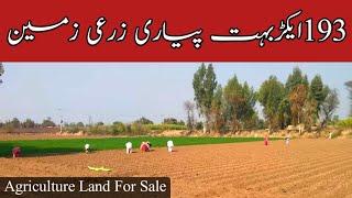 193 Acre Agriculture Land For Sale - Land For Sale - Azhar Jahangir Official