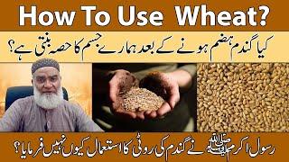 How To Use Wheat? (گندم) | Gandum Ka Istemal Kaise Karen | Wheat Flour | Al-Razaqi Health Recover