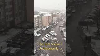 The last snow ? Unstoppable ...