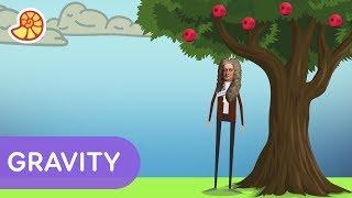 Who was Isaac Newton? | Science Max