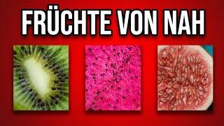 in 5 SEKUNDEN | leicht bis schwer | Früchte QUIZ