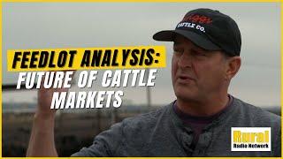 Cattle Market Analysis: Feedlot Owner on Seasonal Trends, Beef Demand, and Future Predictions