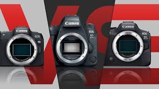 Canon EOS 6D Mark II vs EOS R8 vs EOS R6 Mark II