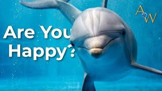 The Happy Dolphin - "Amazing World" - Nature Documentary