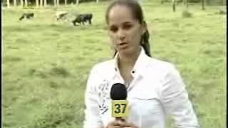 Felivia Mejía reporta desde El Seybo