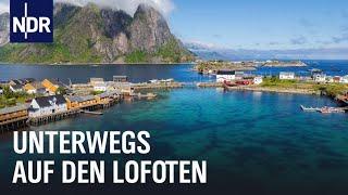 Lofoten: Norwegens Insel-Juwel | Nordseereport | NDR Doku