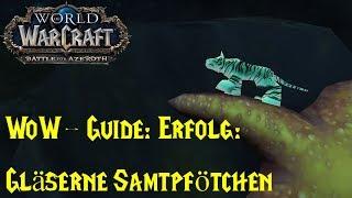 WoW-Guide: Erfolg: Gläserne Samtpfötchen