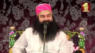 (Episode - H 137) Life Lessons By Saint Dr. Gurmeet Ram Rahim Singh Ji Insan