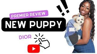 NEW PUPPY REVIEW- PREMIER PUPS