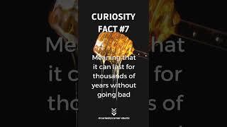 Some people should be like honey… #honey #facts #curiositycorner #curiosity #shorts #honey #sweet