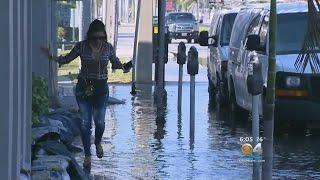 Residents, Businesses Affected By Coastal King Tides