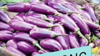 Ang mga Masustansiyang Gulay sa Ating Bahay Kubo Song / Mga Masustansyang Gulay / Salve Malaya