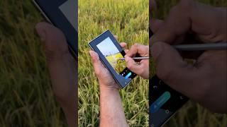 Samsung Galaxy S24 Ultra Sketch To Image With AI #samsung #s24ultra #ai #galaxyai #trending #shorts